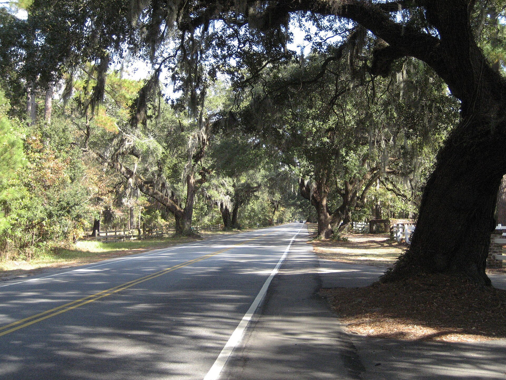 Oak-canopied road along the May River in Bluffton