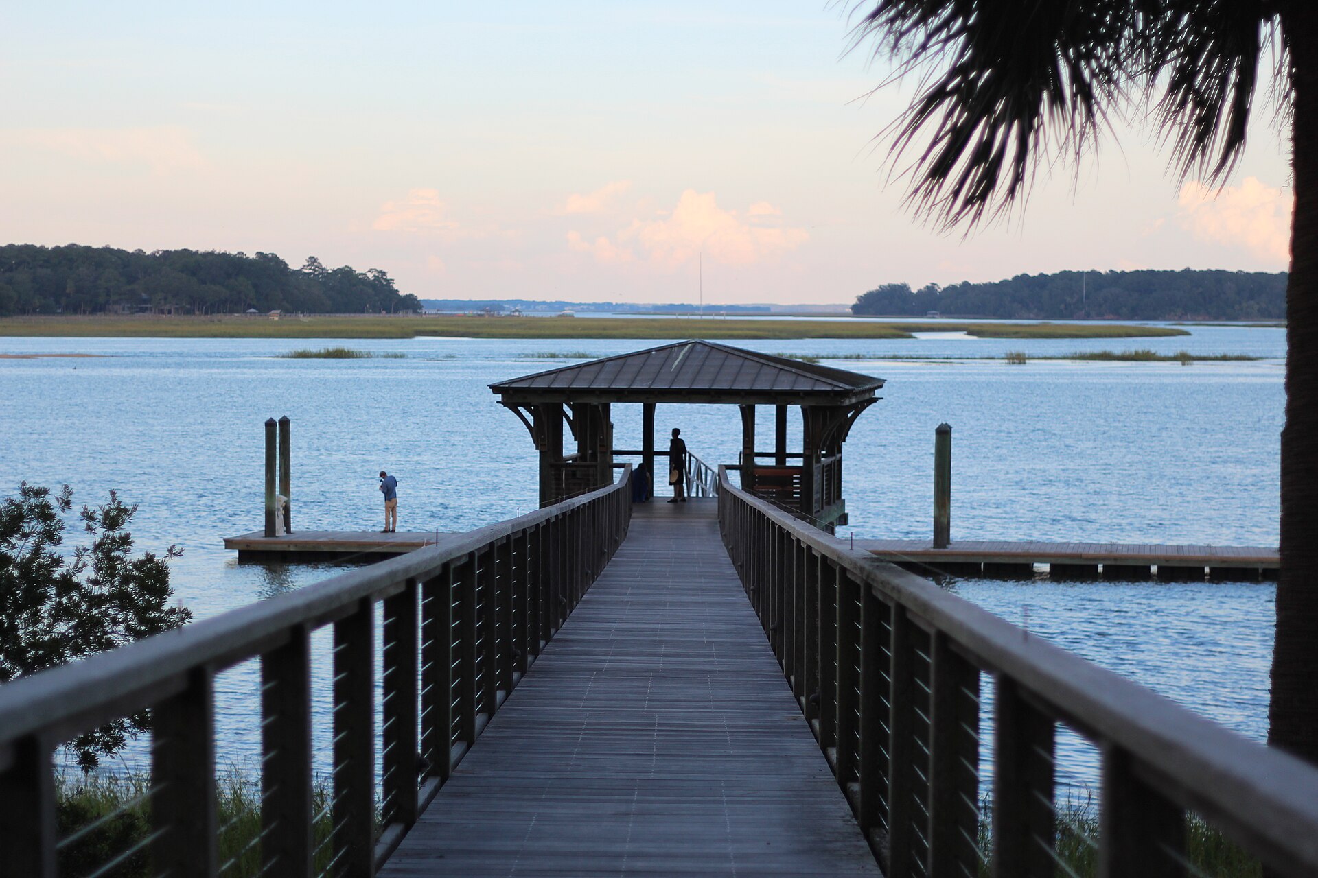 Live oaks and marsh at Palmetto Bluff, South Carolina
