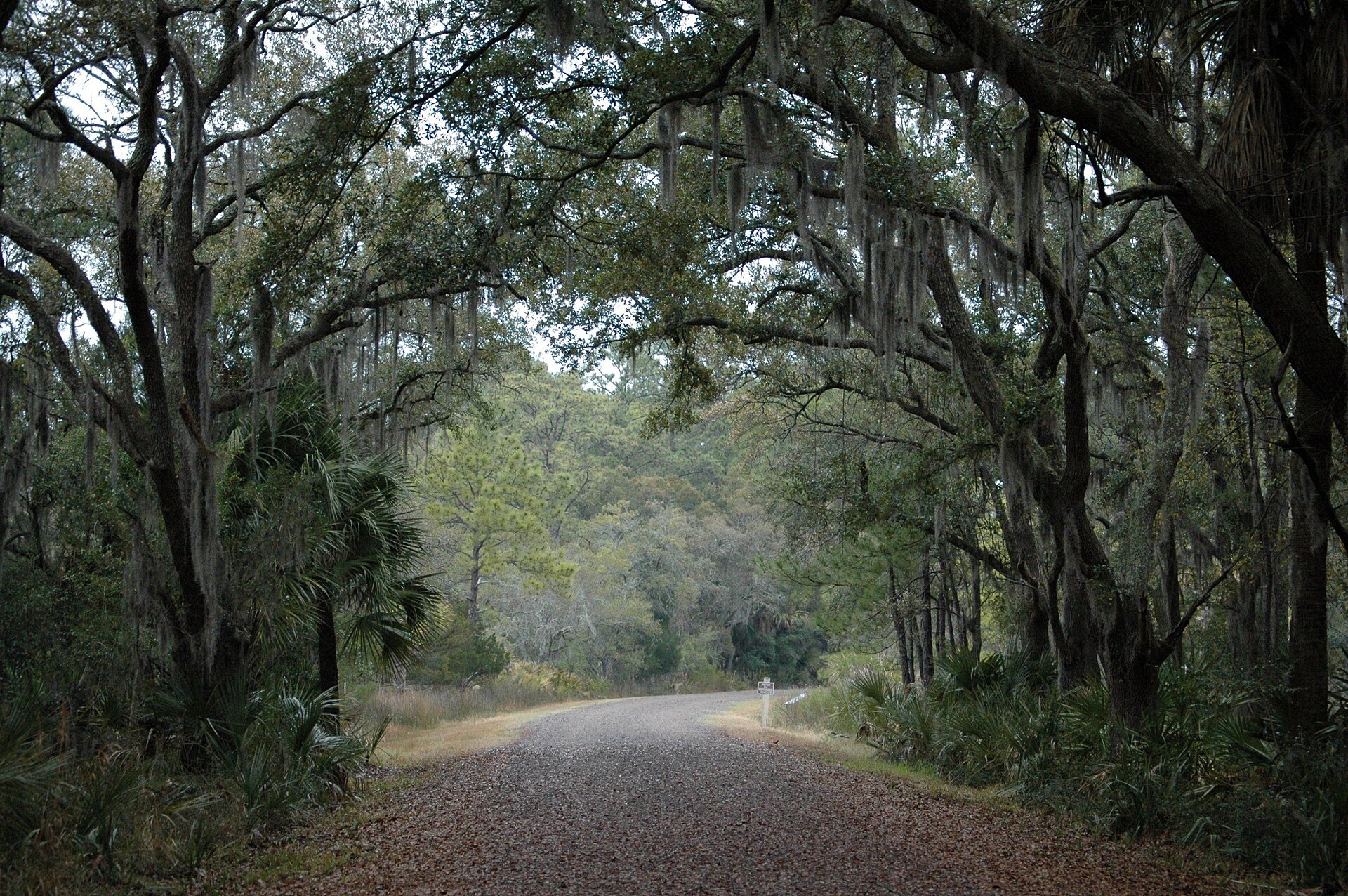 Nature trail at Pinckney Island National Wildlife Refuge