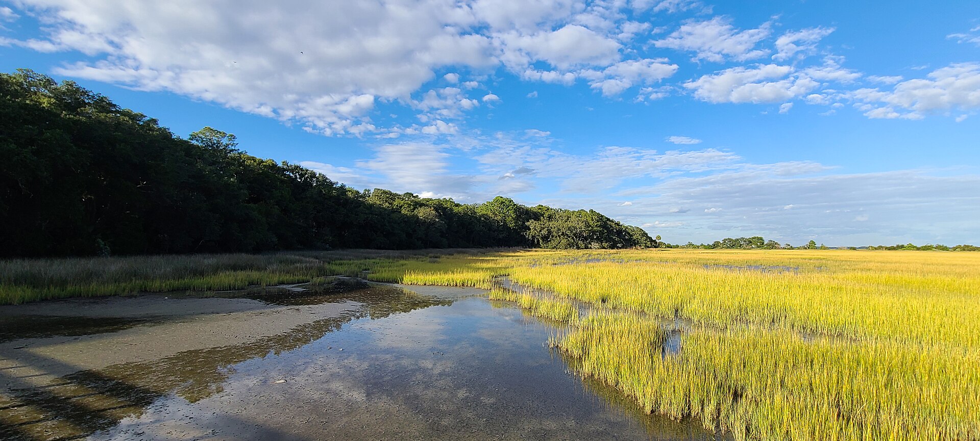 Golden salt marsh at Fish Haul Creek, Hilton Head Island